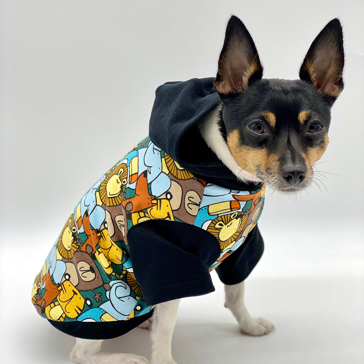 DCNY Day At The Zoo Hoodie - Limited Edition