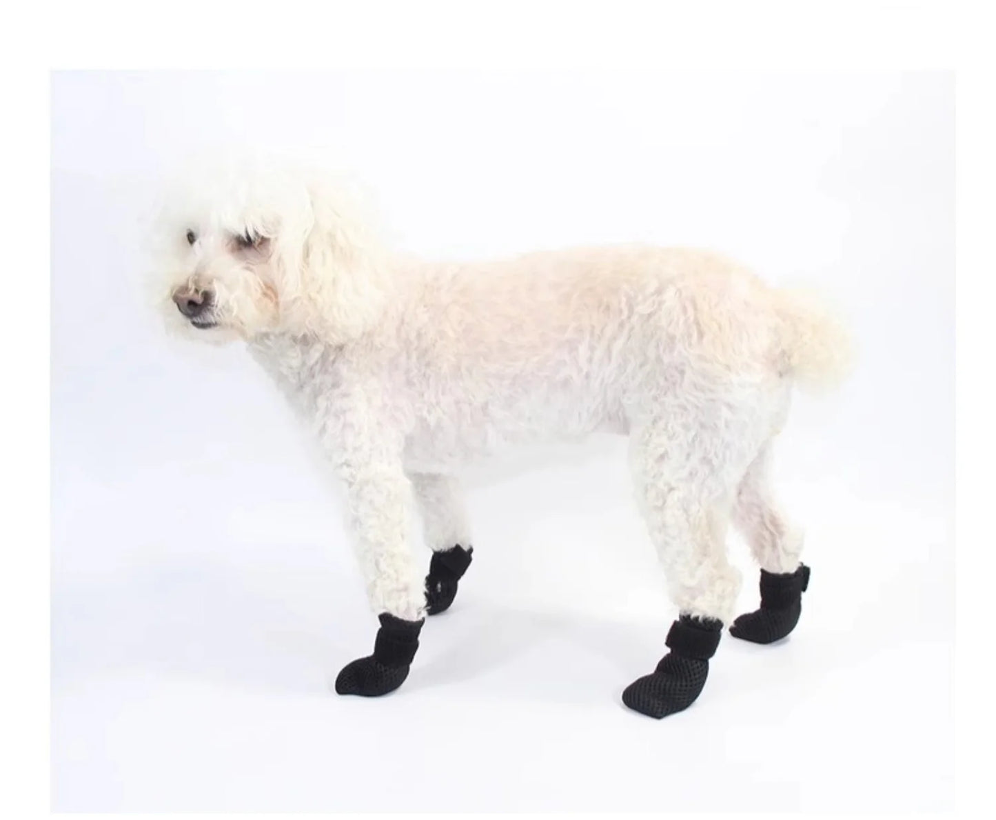 Pet Paw Protectors - anti - Scratch & Floor Protection Shoes for Cats and Dogs