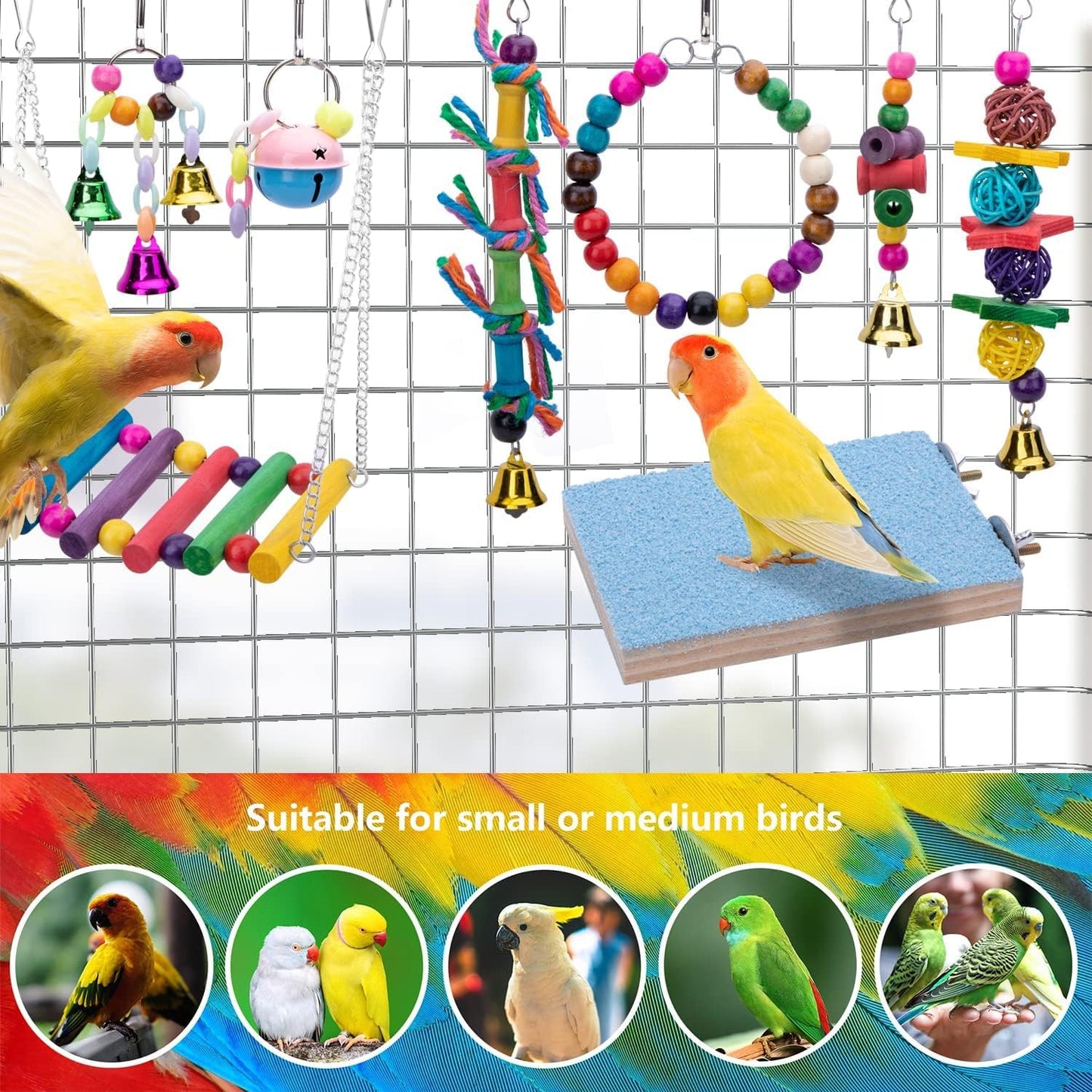 8 Packs Bird Swing Chewing Toys- Parrot Hammock Bell Toys Suitable for Small Parakeets, Cockatiels, Conures, Finches,Budgie,Macaws, Parrots, Love Birds