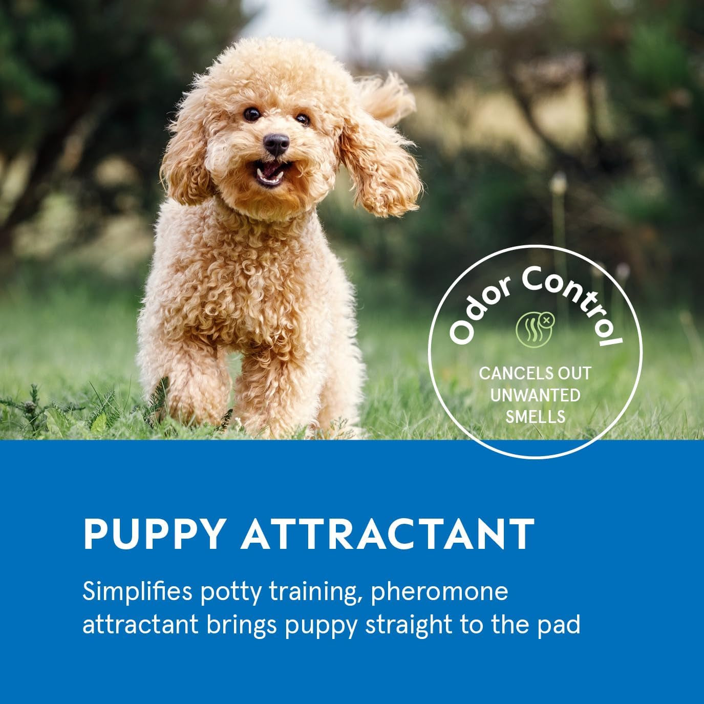 Pee Pads for Dog & Puppy Training [100-COUNT] Pet Potty Pads for Small Dogs 22" X 22" Leak-Proof Design - Quick-Dry Surface - Heavy Duty Absorbent Disposable Wee Pad - Dog & Puppy Products Bulk Pack