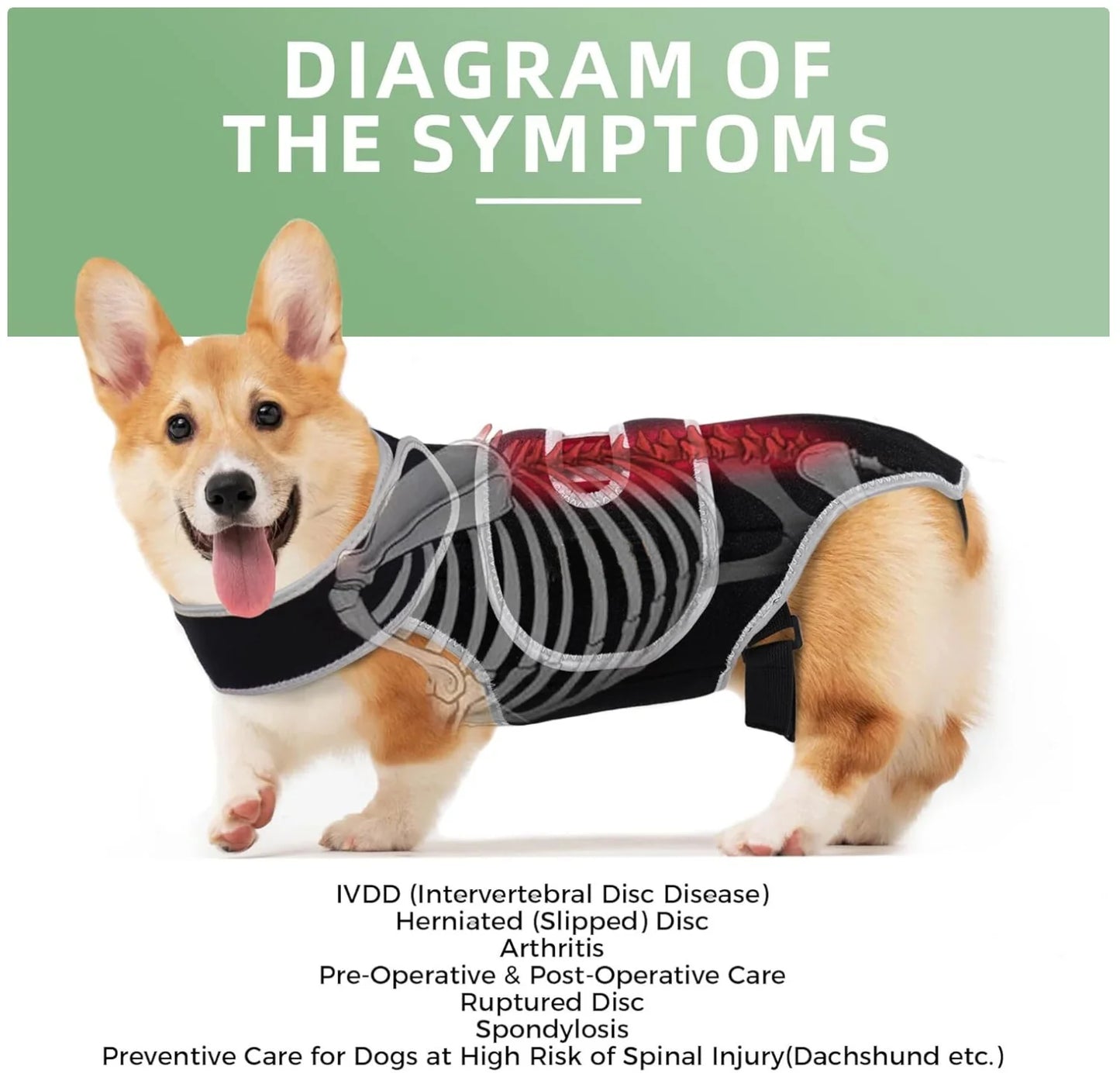 Reflective Dog Support Vest - Breathable & Adjustable Back Brace for Dogs