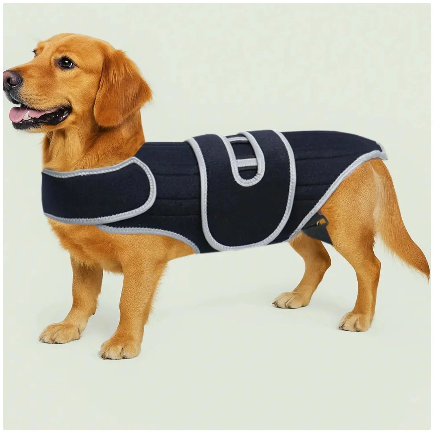 Reflective Dog Support Vest - Breathable & Adjustable Back Brace for Dogs