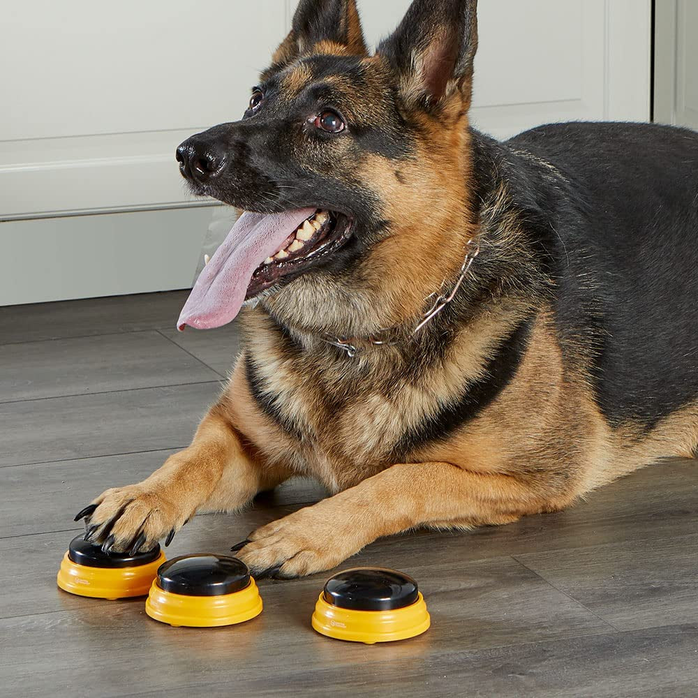 Talking Pet Next Words Names - 3Pc Dog Talking Recordable Button Set, Dog Buttons for Communication | Games & Stuff for Dogs