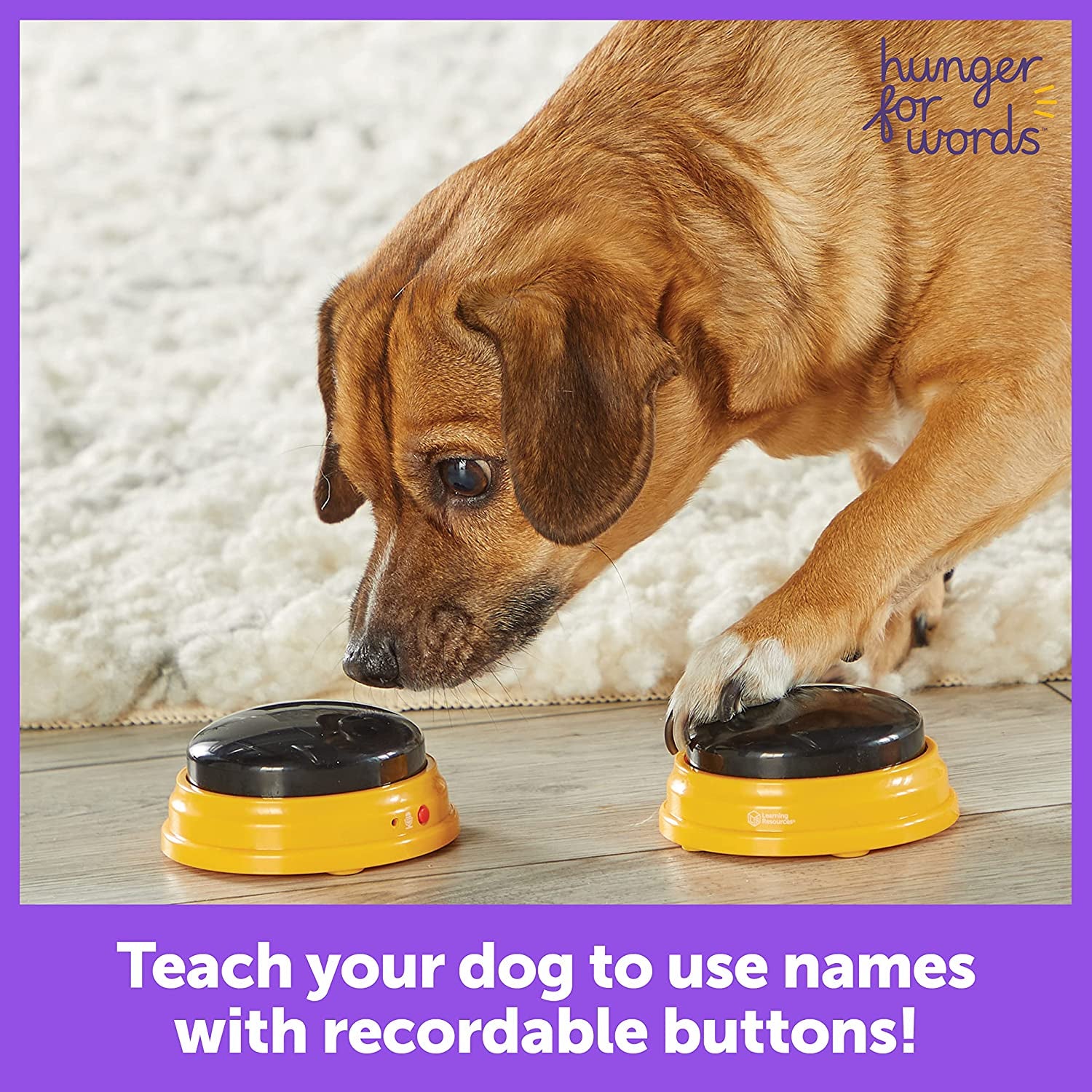 Talking Pet Next Words Names - 3Pc Dog Talking Recordable Button Set, Dog Buttons for Communication | Games & Stuff for Dogs