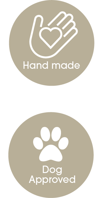 DCNY Day At The Zoo Hoodie - Limited Edition