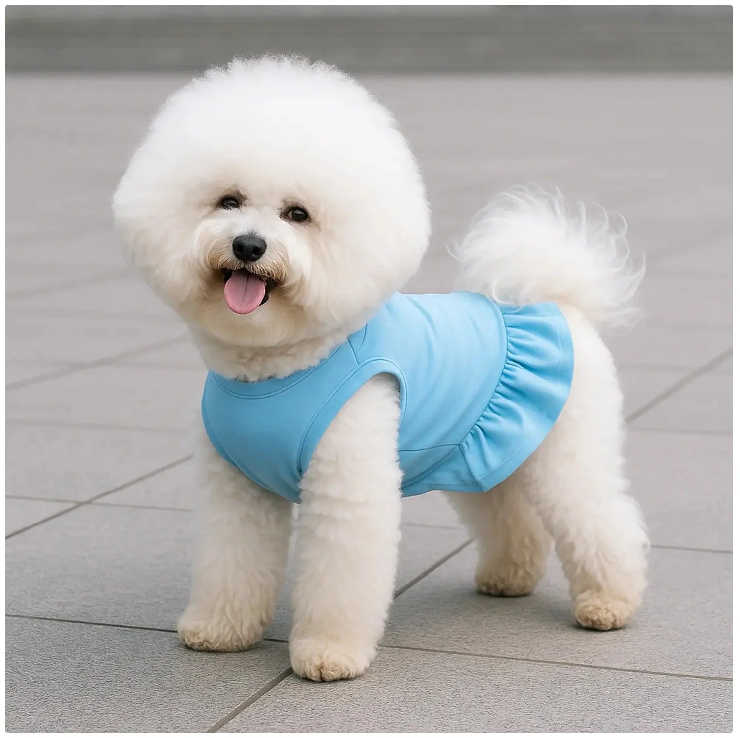 Cute Ruffle Dog & Cat Mini Dress - Soft Pet Apparel for Small Pets