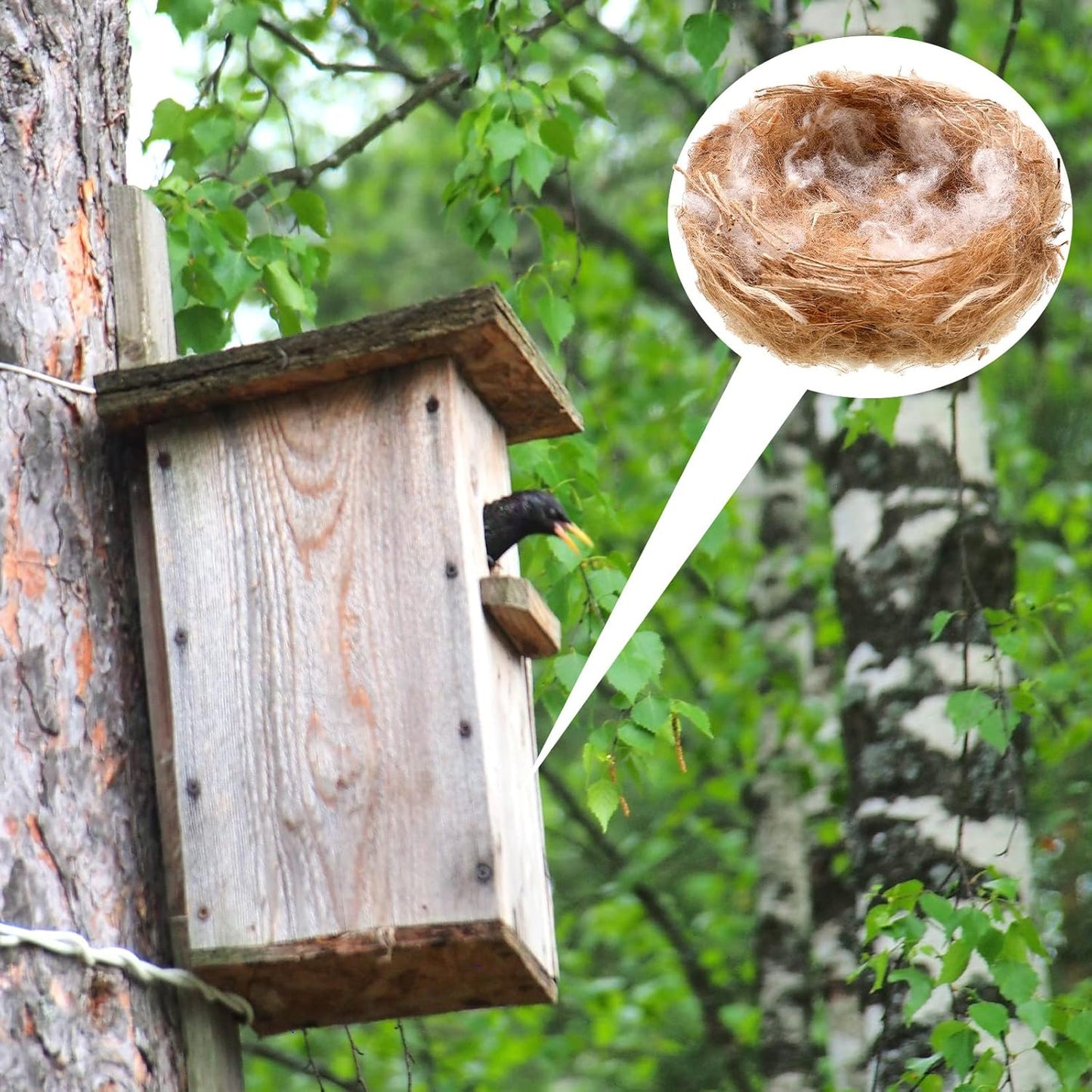 120G/4.23 Oz Bird Nesting Materials Mixing Parakeet Nest Material Finch Bird Bedding Hideouts for Canary Coconut for Tree Trunks Cages Garden Yard Home Party Easter Decor