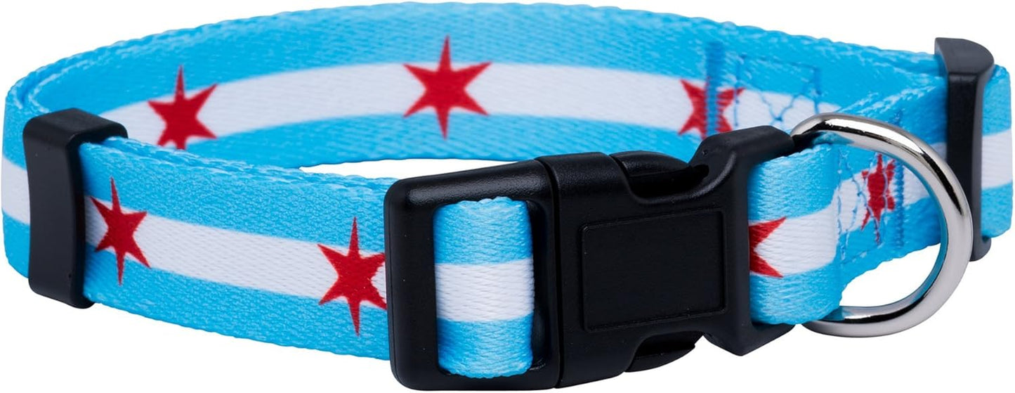 Chicago Flag Dog Collar (Chicago Big Stars, Medium)