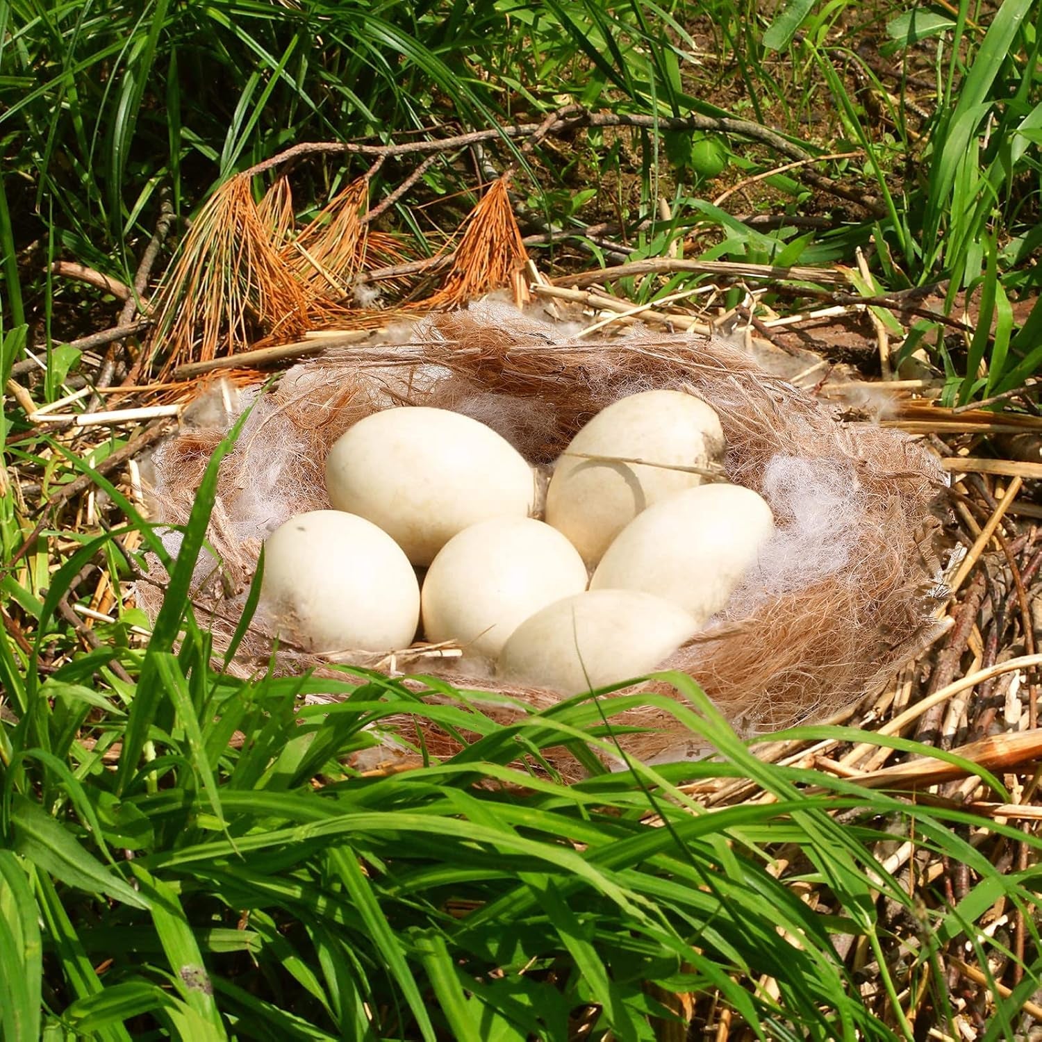 120G/4.23 Oz Bird Nesting Materials Mixing Parakeet Nest Material Finch Bird Bedding Hideouts for Canary Coconut for Tree Trunks Cages Garden Yard Home Party Easter Decor
