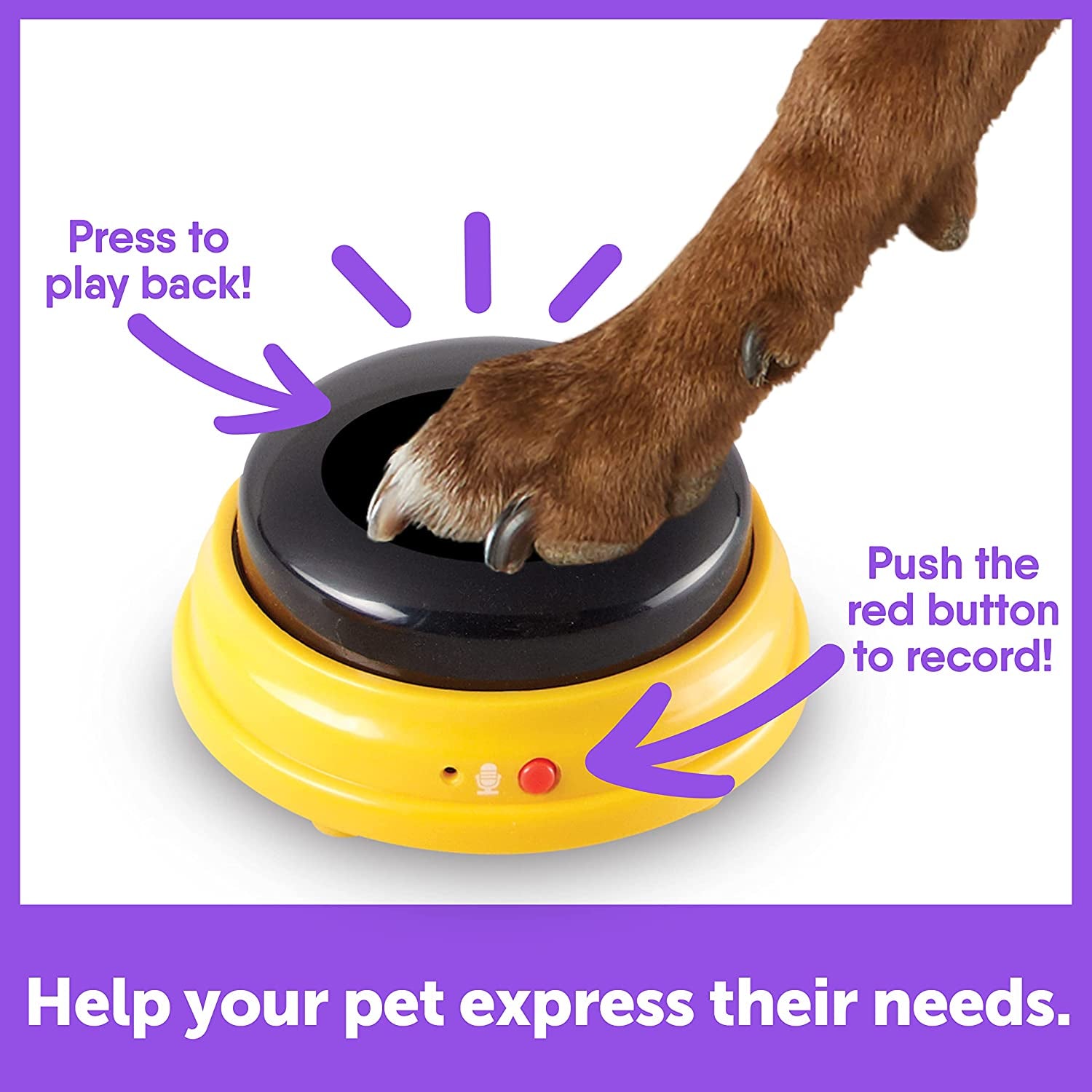 Talking Pet Next Words Names - 3Pc Dog Talking Recordable Button Set, Dog Buttons for Communication | Games & Stuff for Dogs