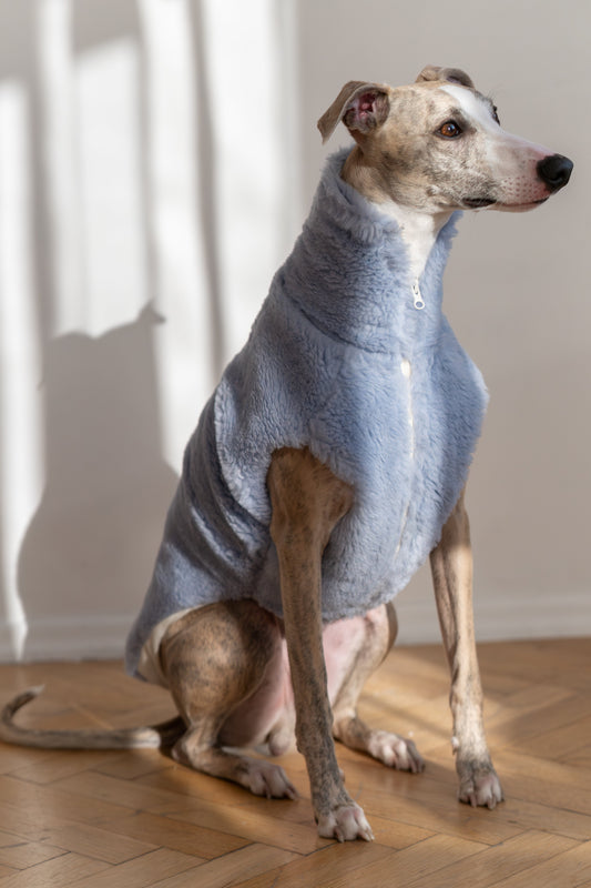 Woolen Dog Vest - Blue