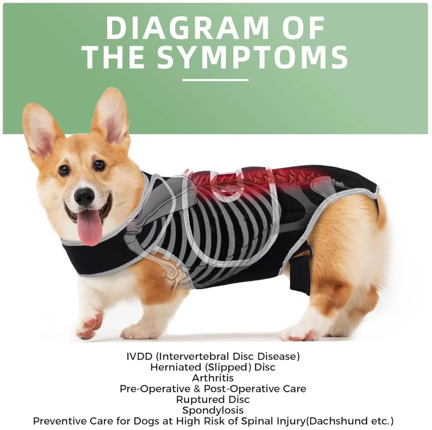 Reflective Dog Support Vest - Breathable & Adjustable Back Brace for Dogs