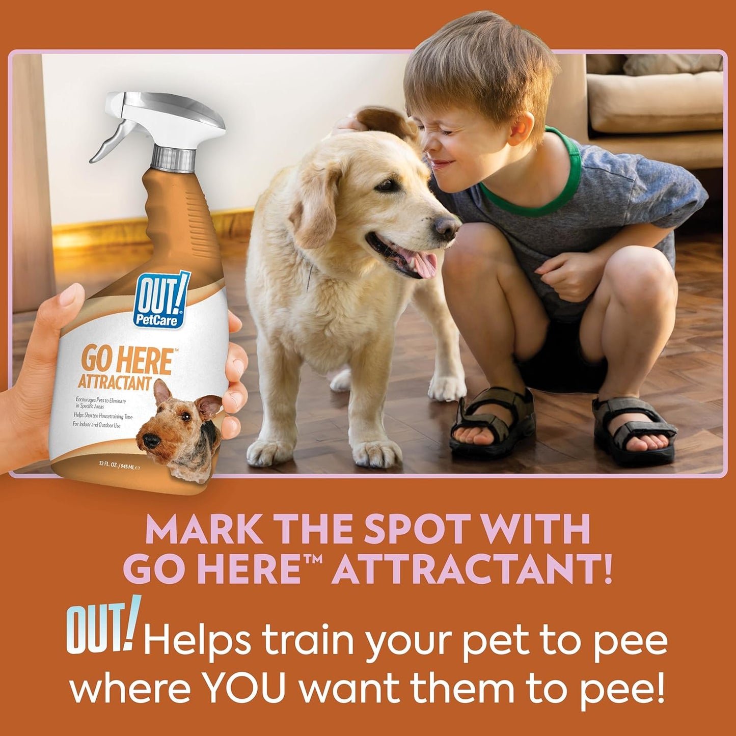 Petcare Go Here Attractant Spray Bottle for Pets, 32-Ounce