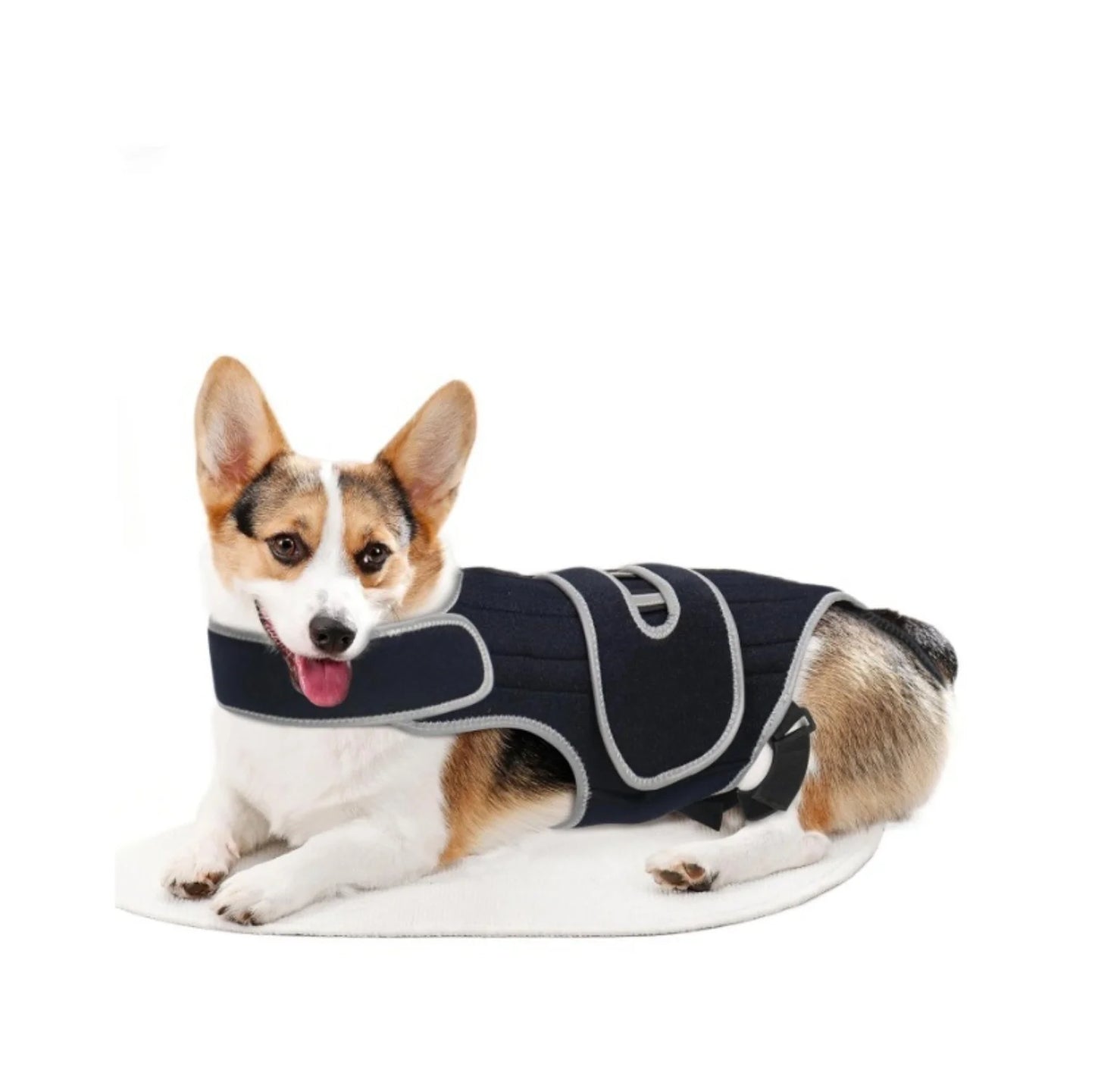 Reflective Dog Support Vest - Breathable & Adjustable Back Brace for Dogs