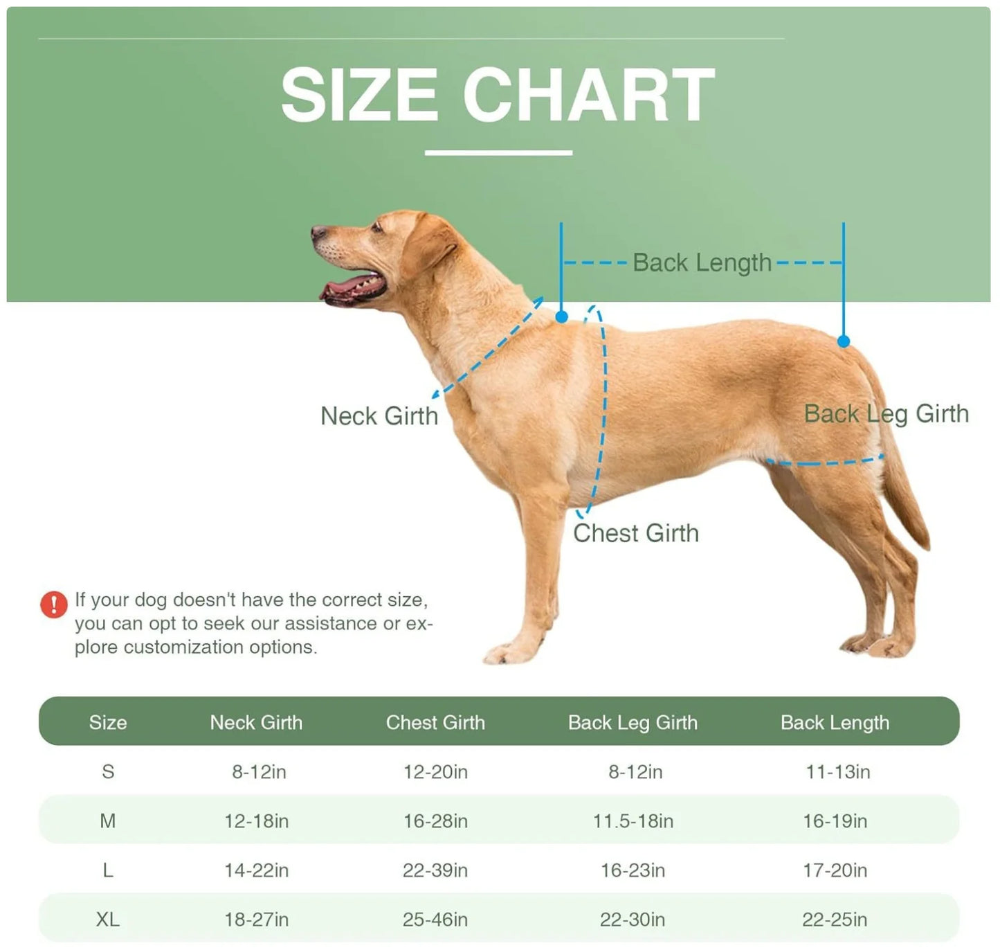 Reflective Dog Support Vest - Breathable & Adjustable Back Brace for Dogs