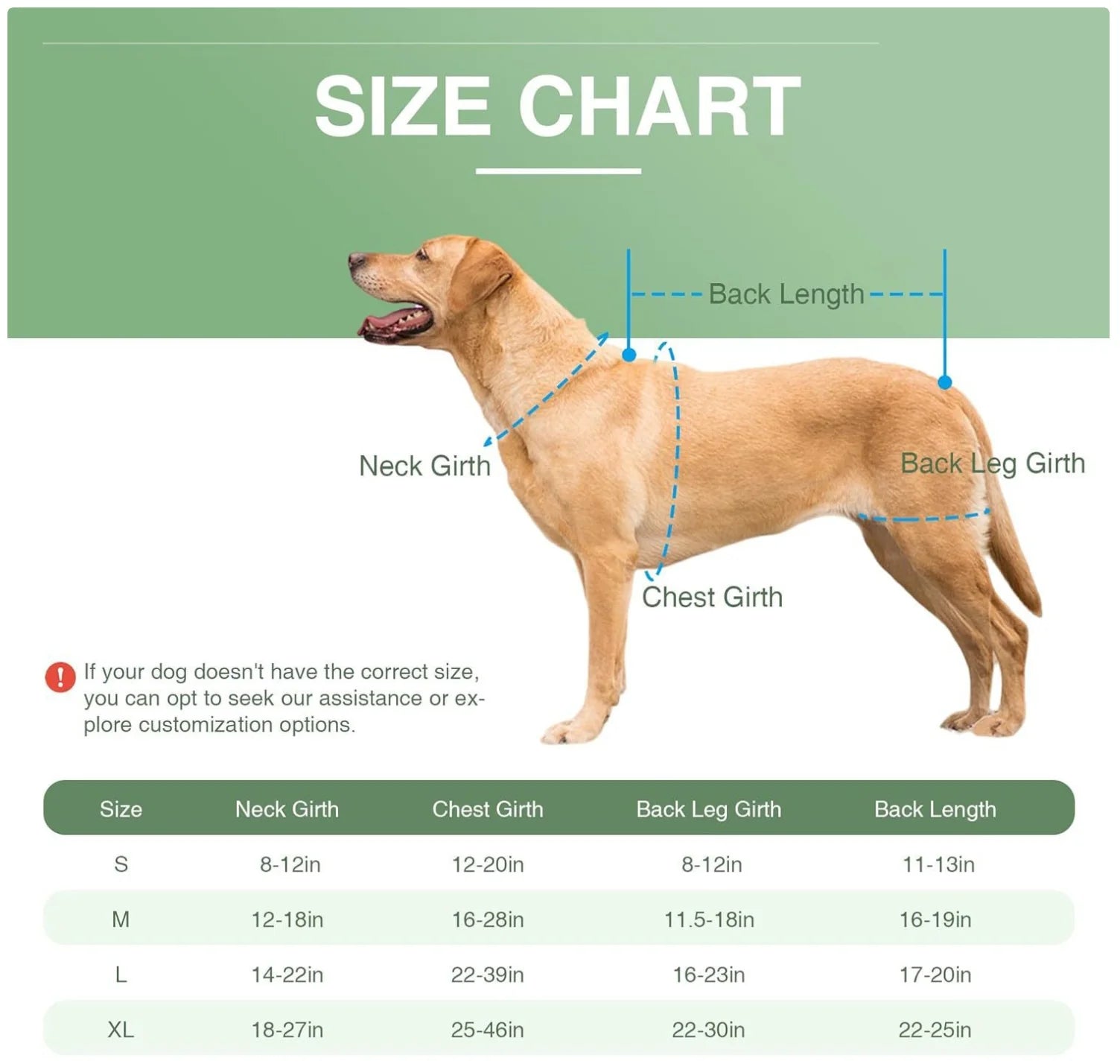 Reflective Dog Support Vest - Breathable & Adjustable Back Brace for Dogs