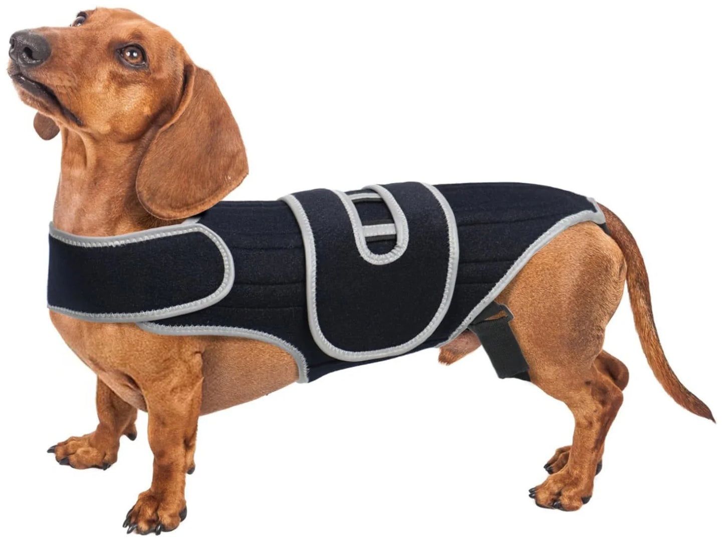 Reflective Dog Support Vest - Breathable & Adjustable Back Brace for Dogs