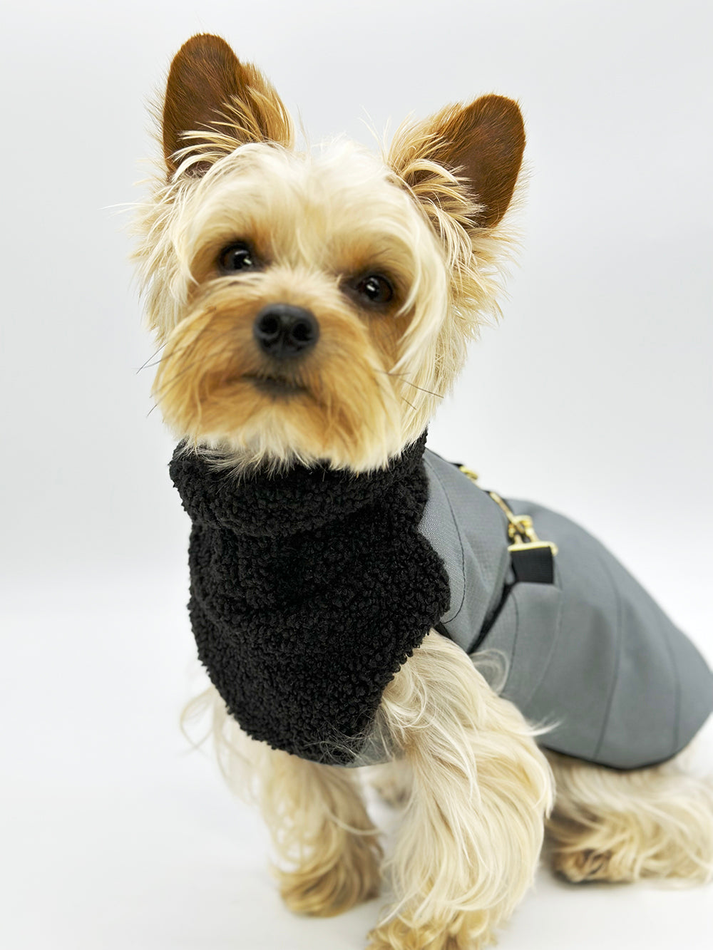 DCNY Sport City Chic Winter Coat